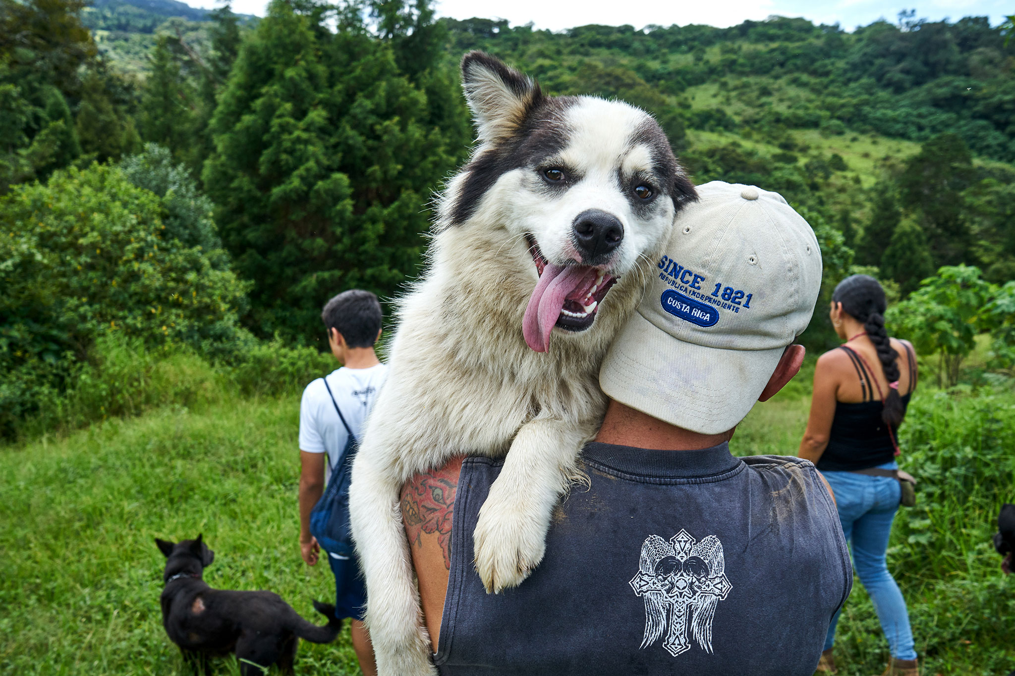 Где можно с собакой. Рикки собака. Коста Рика собаки. 1000 Собак. Где живет собака.