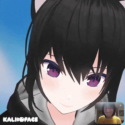 Kalidoface 3D