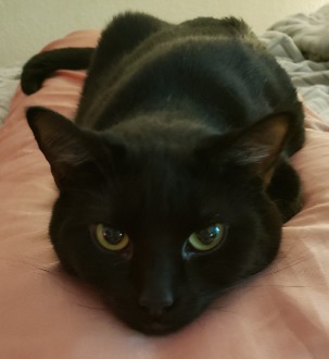 image of Shadow on a pillow