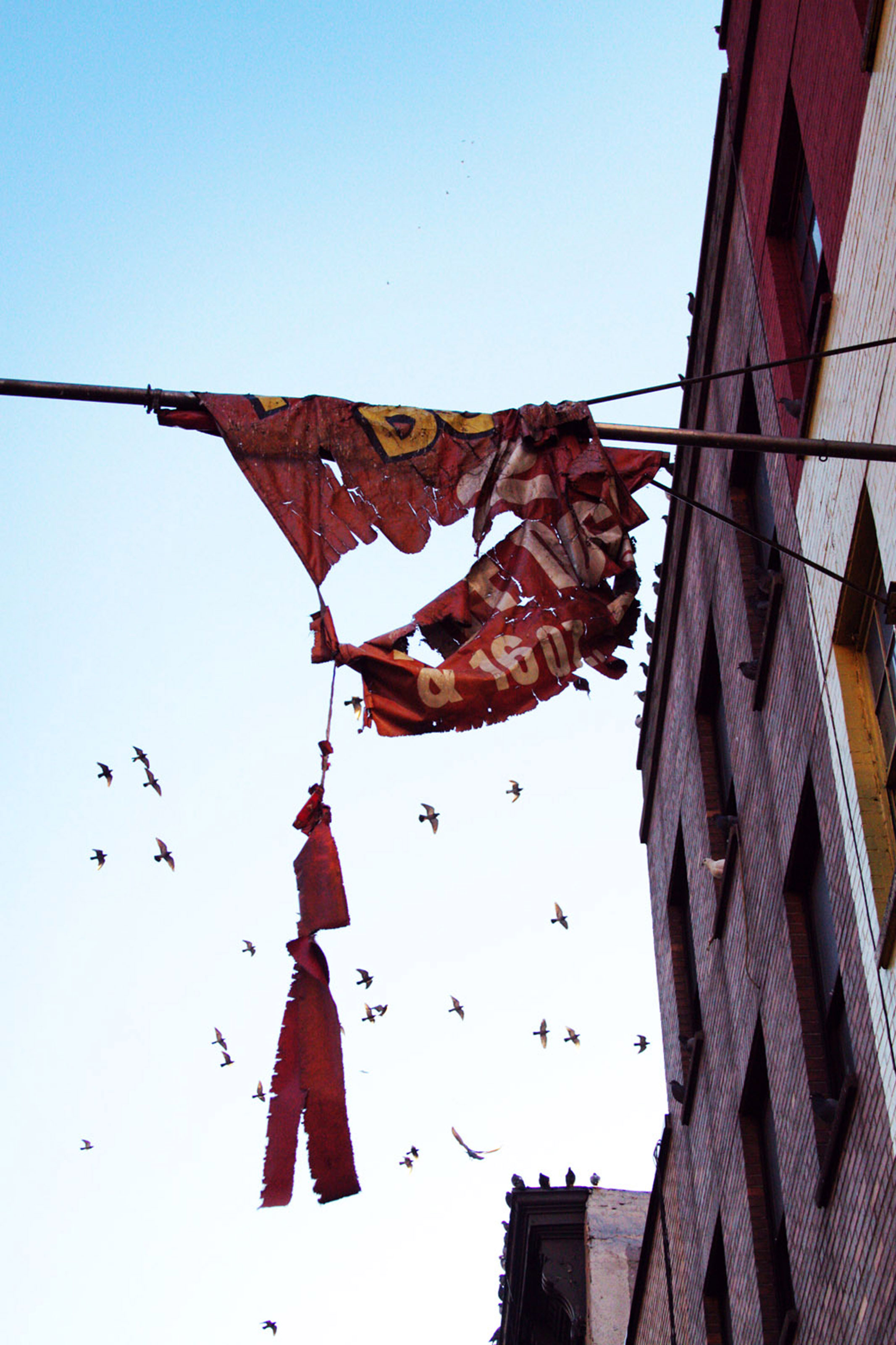 tattered flag