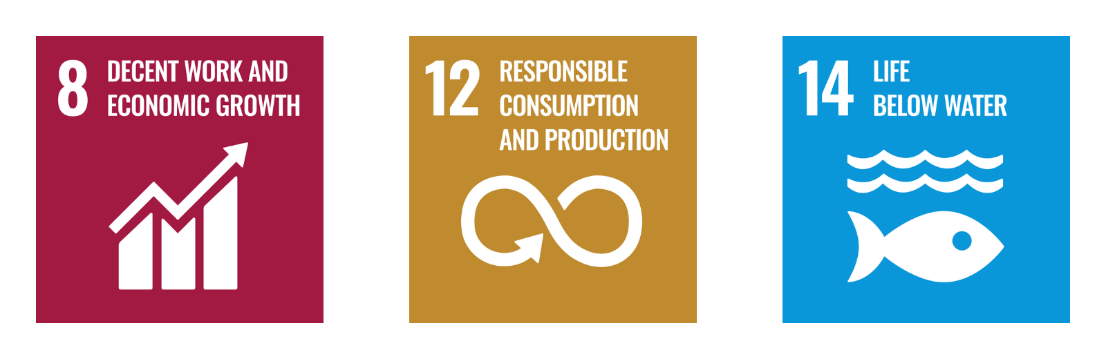 Sustainable Development Goal 8