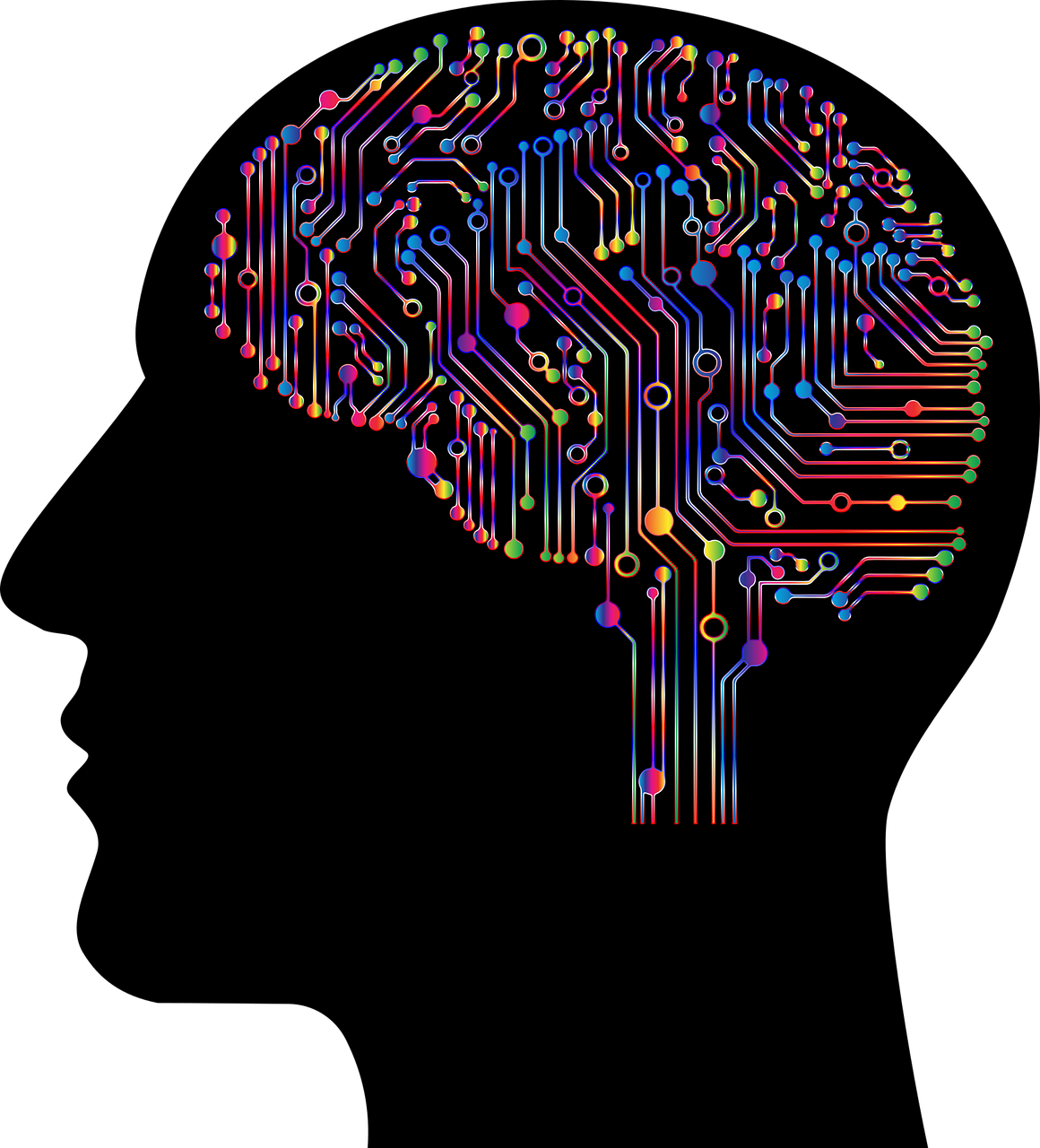 An artwork of a human head and the brain