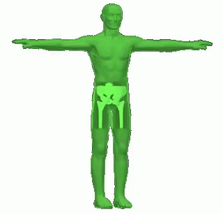 a rotating person, rendered in green