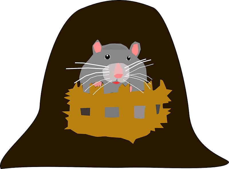 rat house