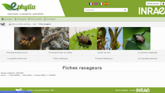 AGIIR contre les insectes ravageurs