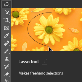 Photoshop Lasso tool