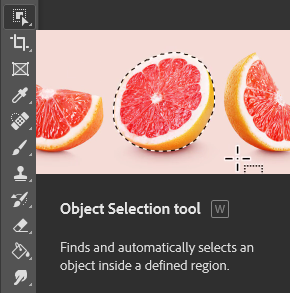 Photoshop Object Selection tool