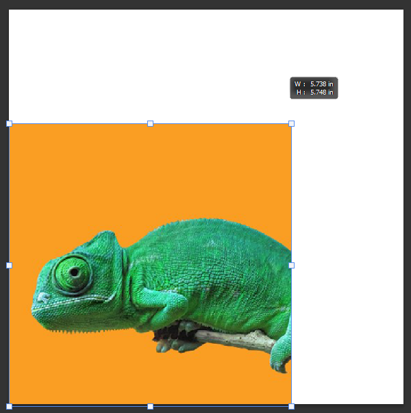 Chameleon transform scale in Photoshop