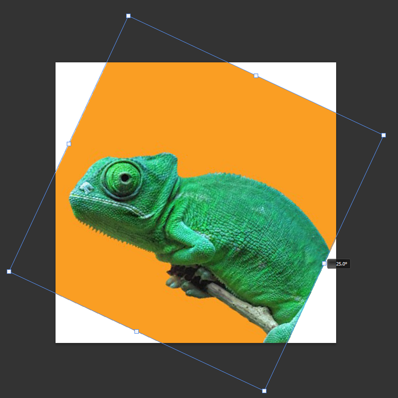 Chameleon transform rotate in Photoshop