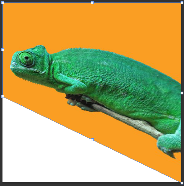 Chameleon transform skew in Photoshop