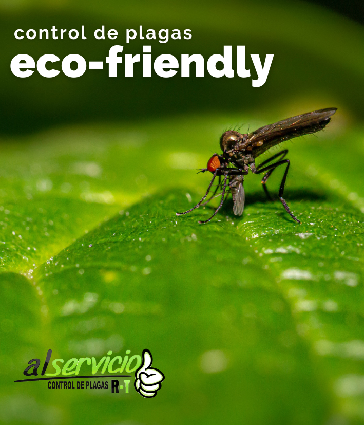 mosquito y fondo verde eco-friendly post